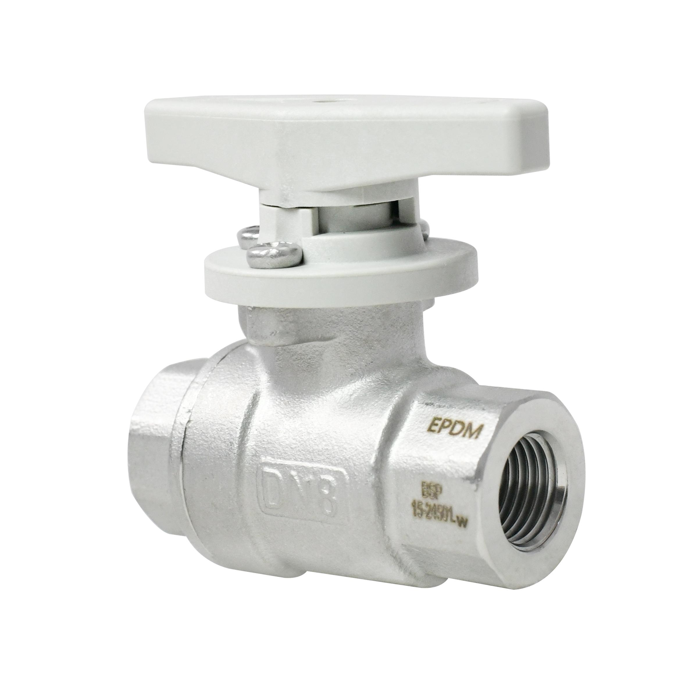 1/4 Inch 2-way SS304 Manual Water Ball Valve with Handle Full Port NPT BSP 